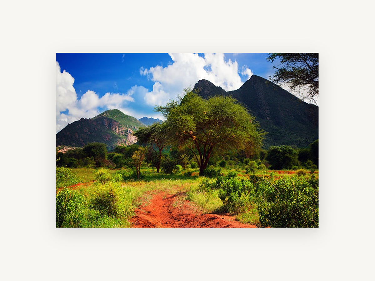 Red Track Savanna, savanna mountains red earth photograph, landscape canvas wall art print, front view