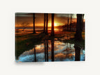 Sunset Puddle Reflections, sunset lakeside trees puddle reflection, landscape canvas wall art print ready to hang