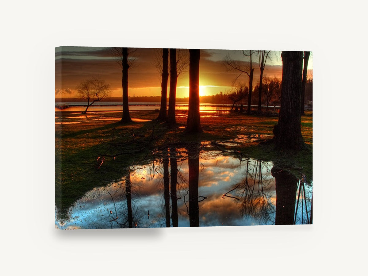 Sunset Puddle Reflections, sunset lakeside trees puddle reflection, landscape canvas wall art print ready to hang