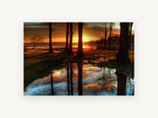 Sunset Puddle Reflections, sunset lakeside trees puddle reflection, landscape canvas wall art print, front view