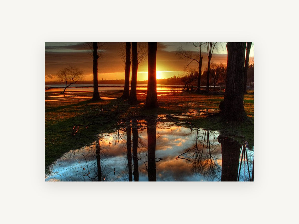 Sunset Puddle Reflections, sunset lakeside trees puddle reflection, landscape canvas wall art print, front view