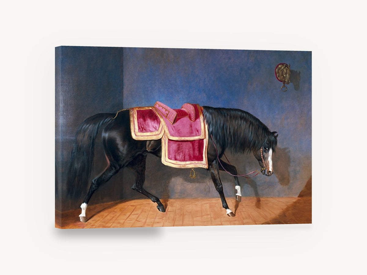 Saddled Black Stallion, black horse crimson saddle painting, animal canvas wall art print ready to hang