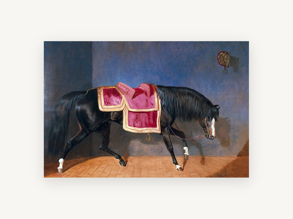 Saddled Black Stallion, black horse crimson saddle painting, animal canvas wall art print, front view