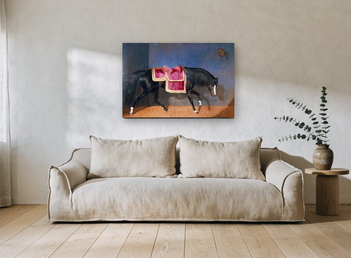 Saddled Black Stallion animal canvas print on the wall of a living room