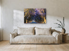 Jacaranda Tunnel Road landscape canvas print on the wall of a living room
