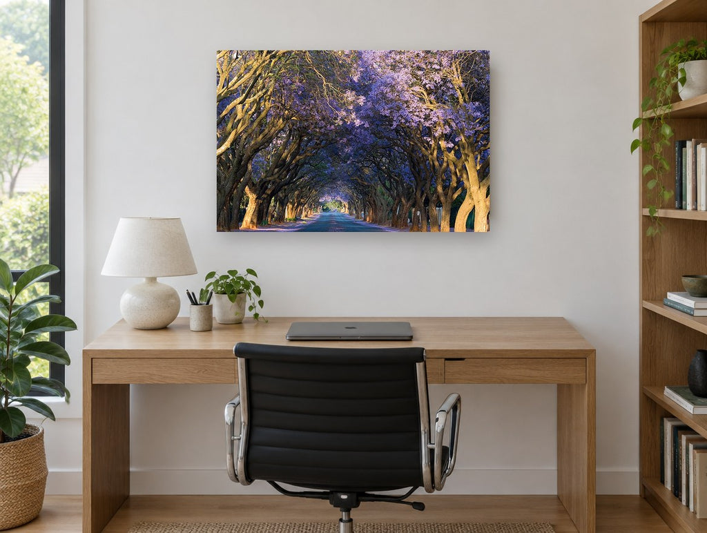 Jacaranda Tunnel Road landscape canvas print on the wall of a study