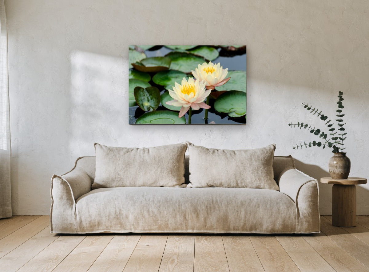 Twin Water Lilies floral canvas print on the wall of a living room