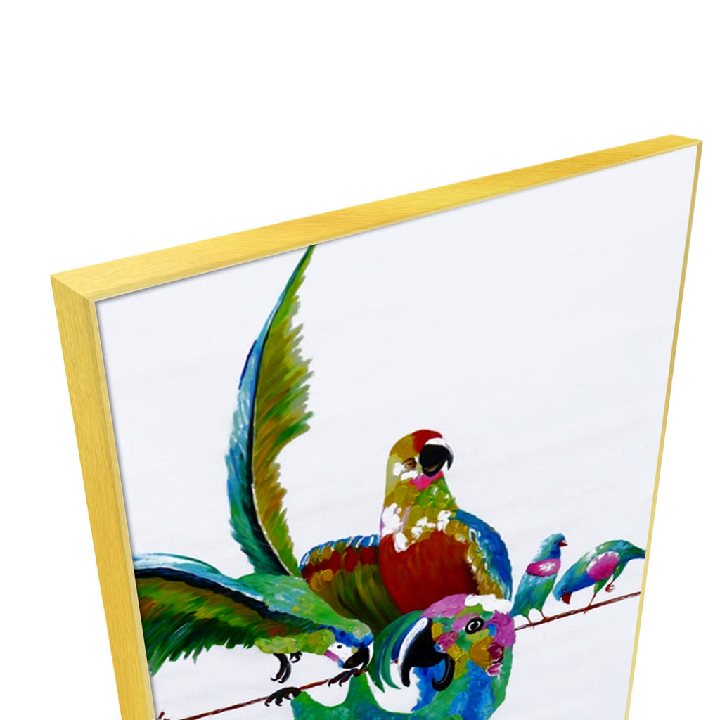 Playful Birds