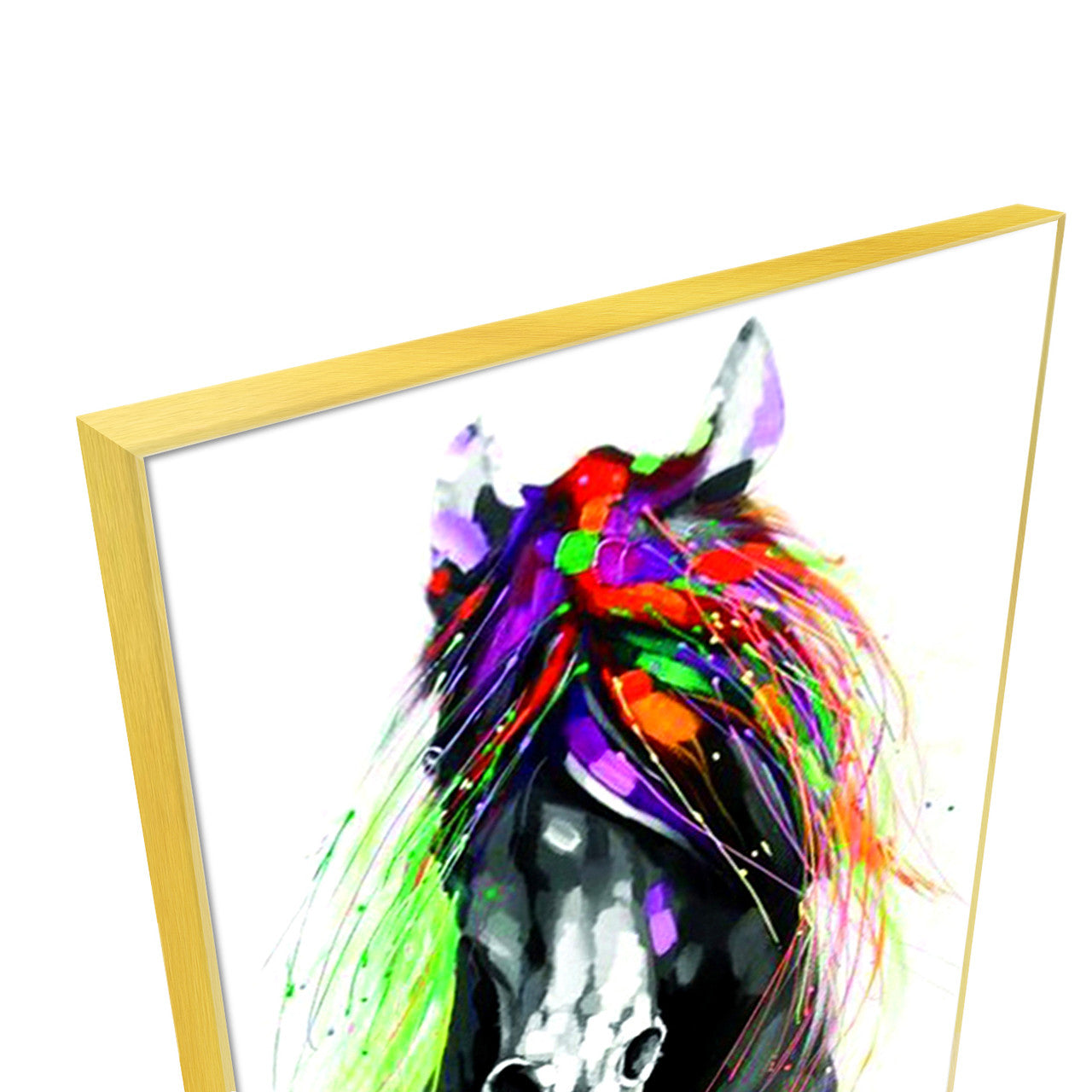 Colorful Horse
