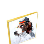 MACY-002