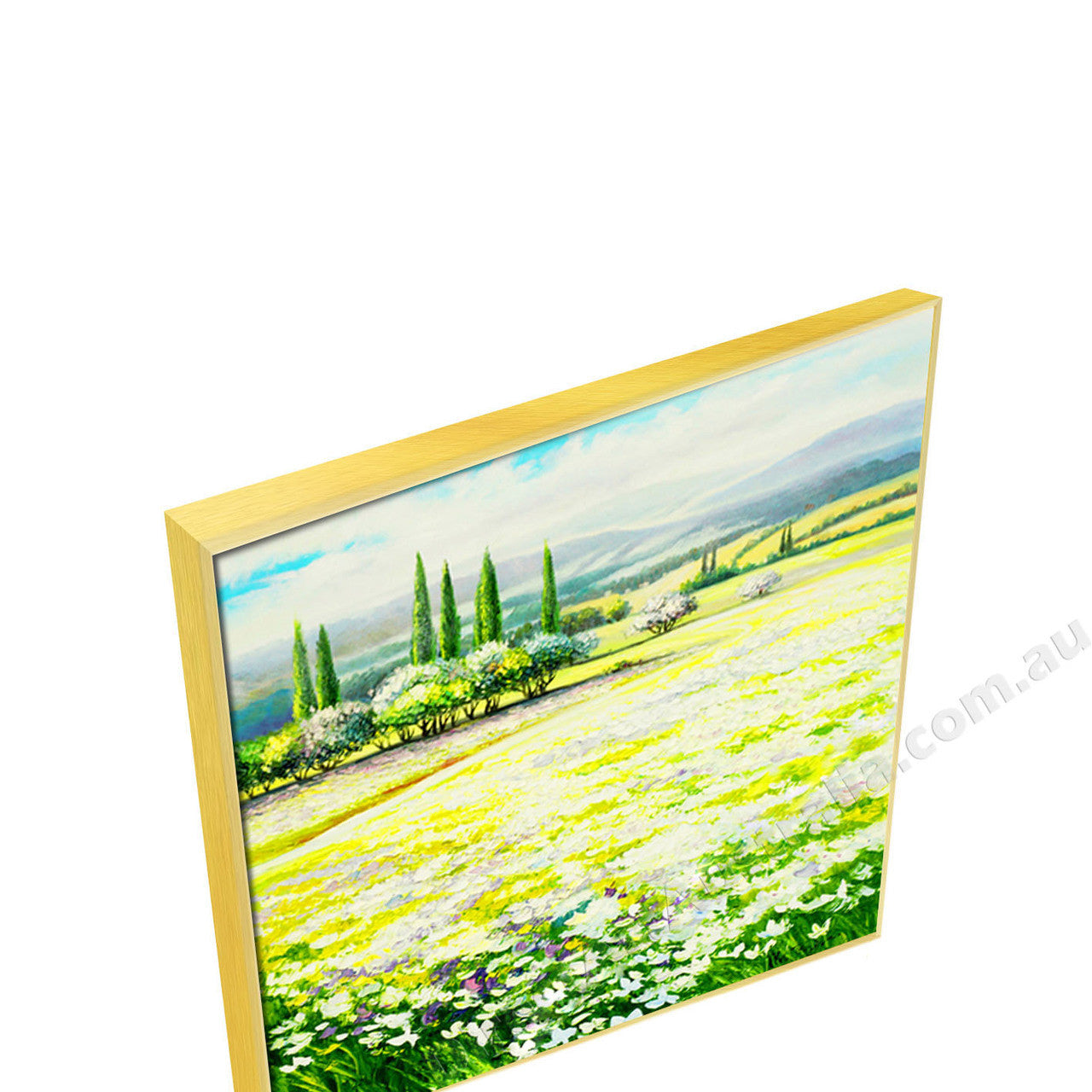 Gold Floating Frame