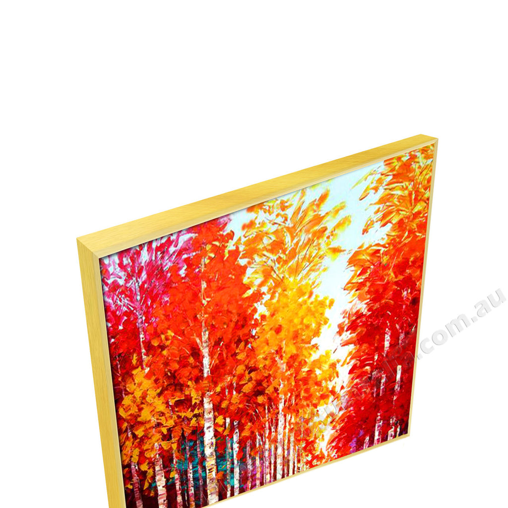 Gold Floating Frame