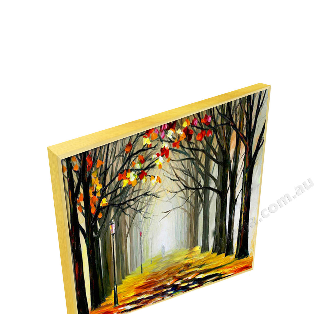 Gold Floating Frame