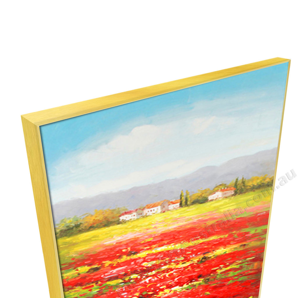Gold Floating Frame