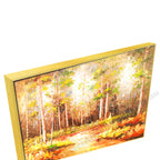 Gold Floating Frame