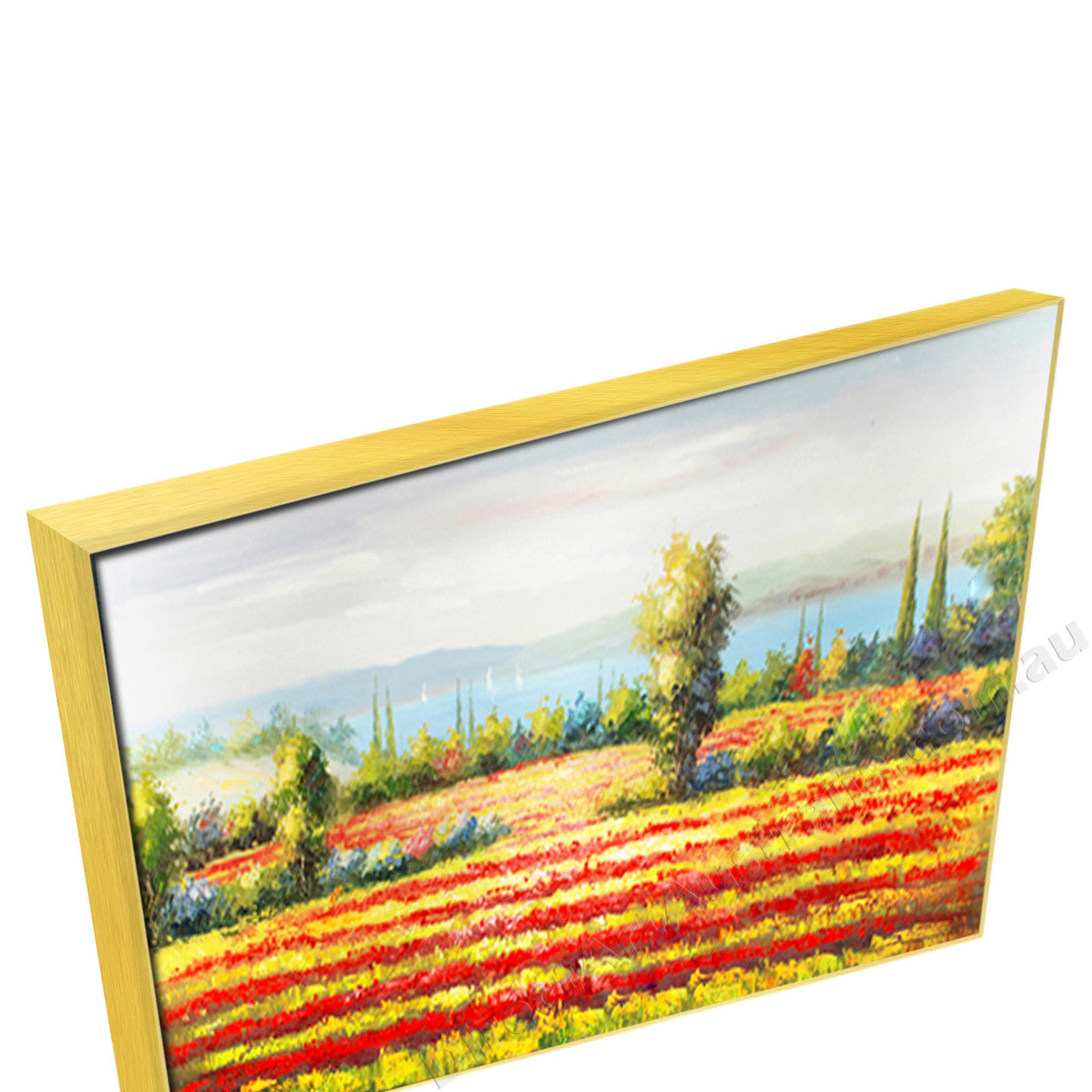 Gold Floating Frame