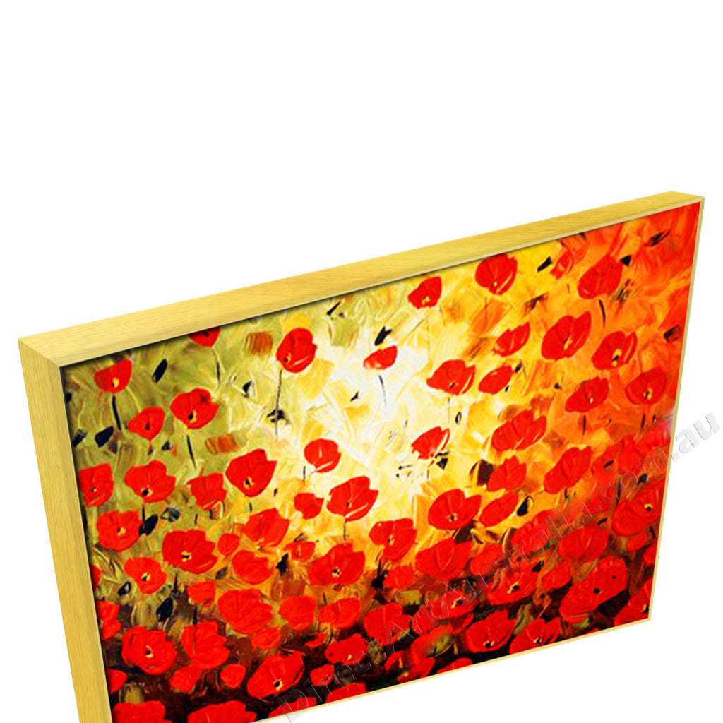 Gold Floating Frame