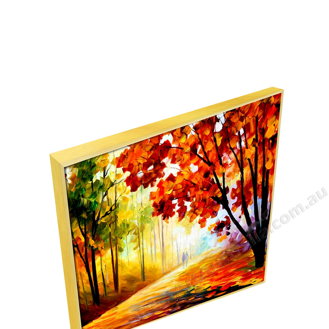 Gold Floating Frame