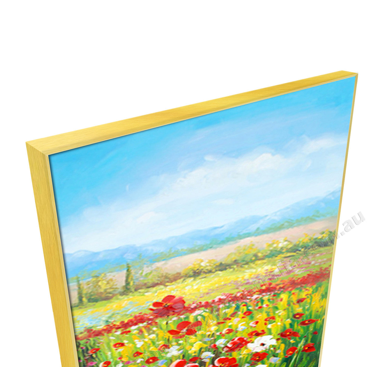 Gold Floating Frame