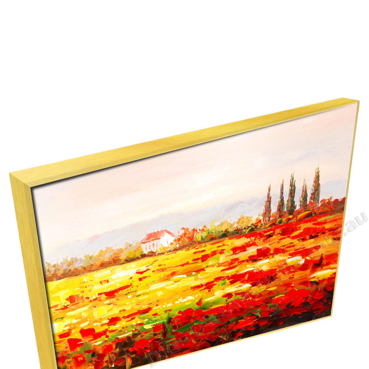 Gold Floating Frame