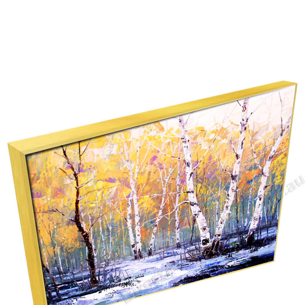 Gold Floating Frame