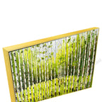 Gold Floating Frame