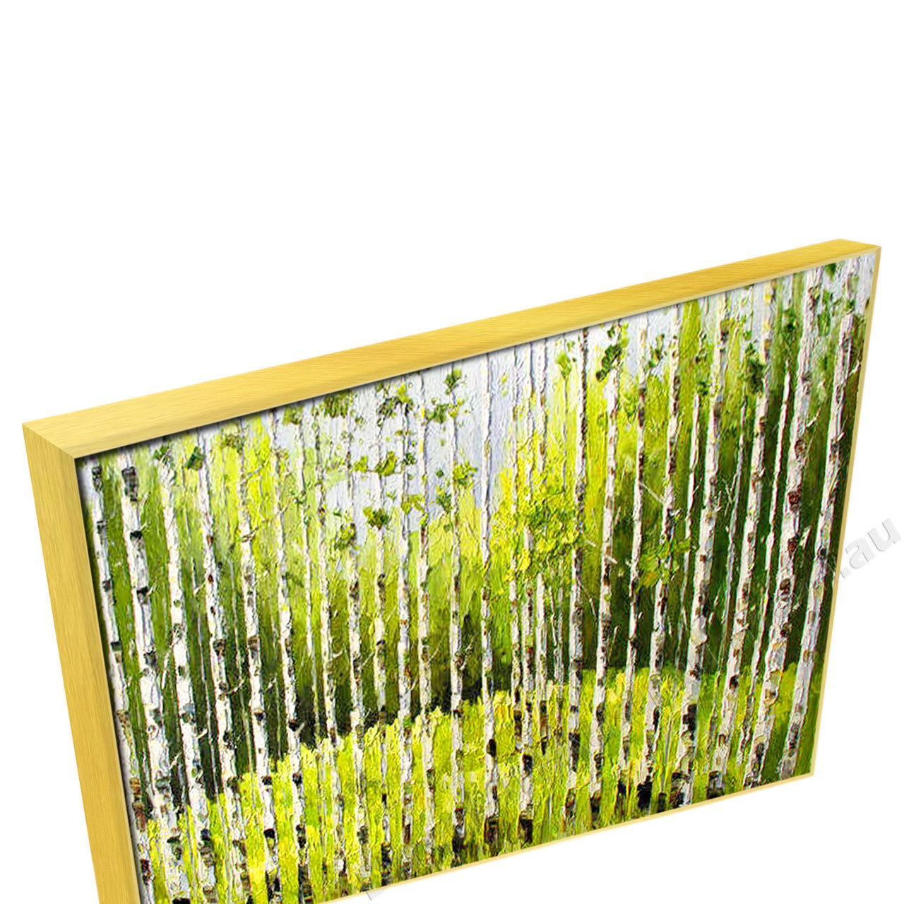 Gold Floating Frame