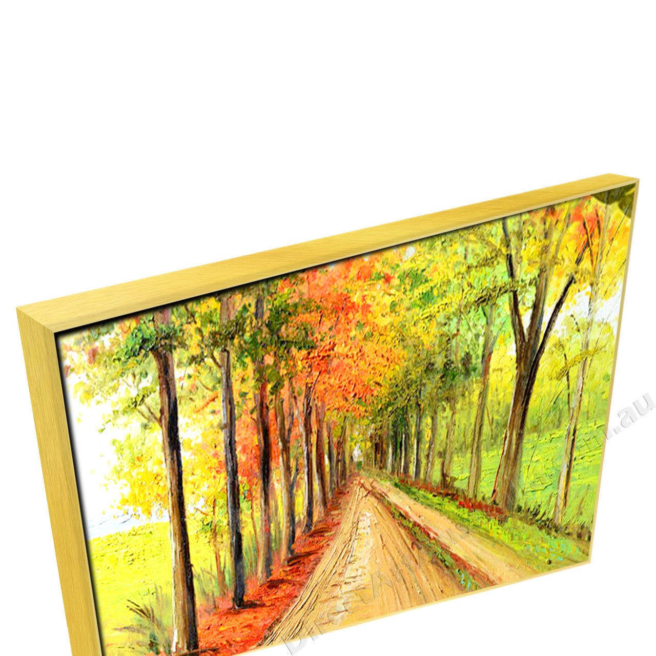 Gold Floating Frame
