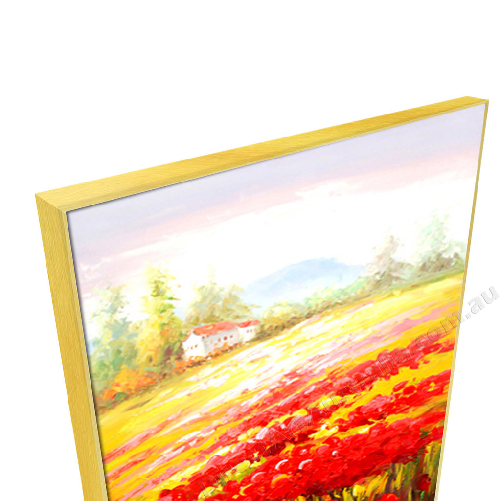 Gold Floating Frame