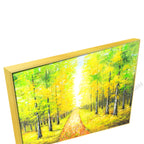 Gold Floating Frame