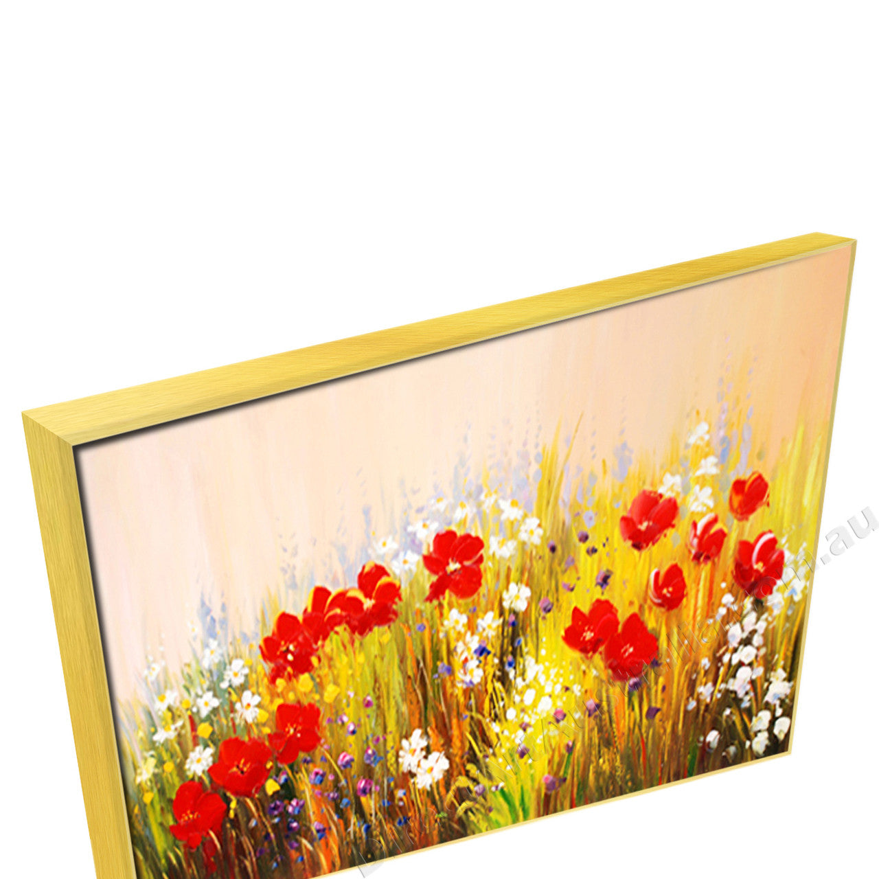 Gold Floating Frame