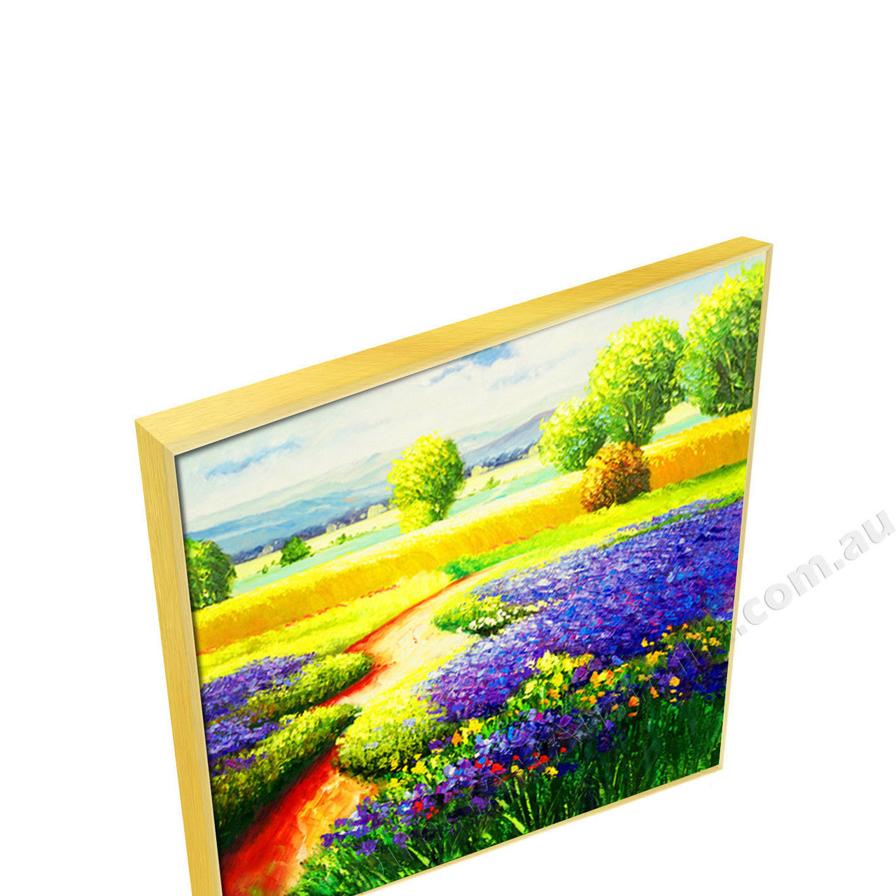 Gold Floating Frame