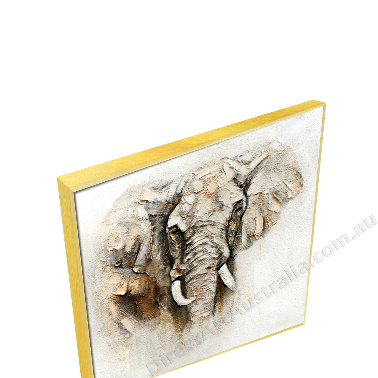 Gold Floating Frame
