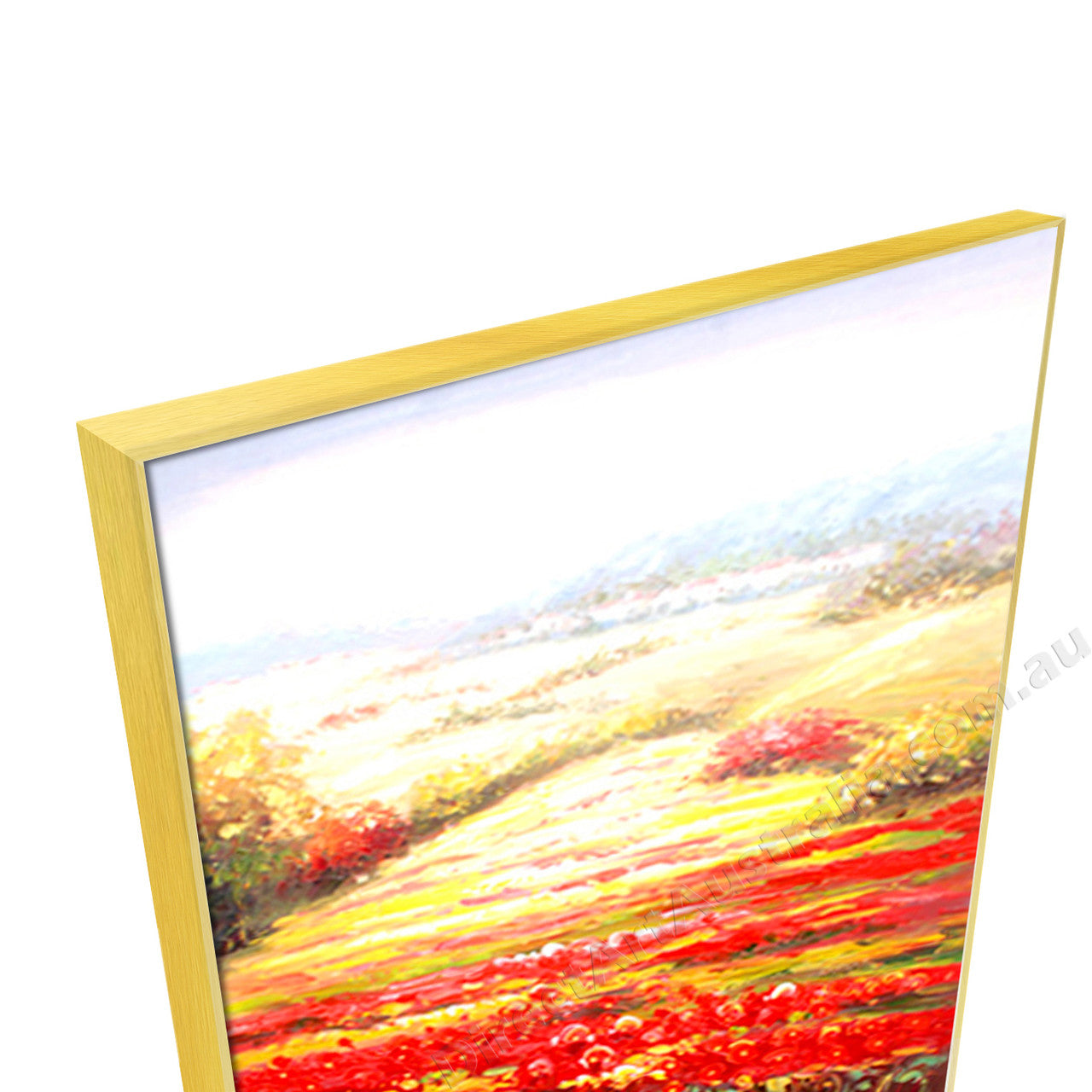 Gold Floating Frame