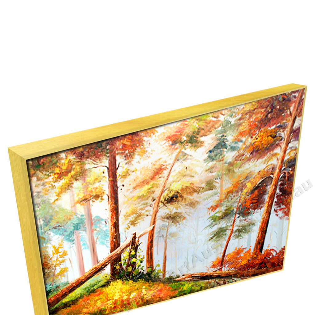 Gold Floating Frame