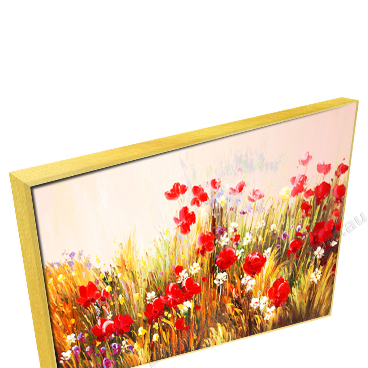 Gold Floating Frame