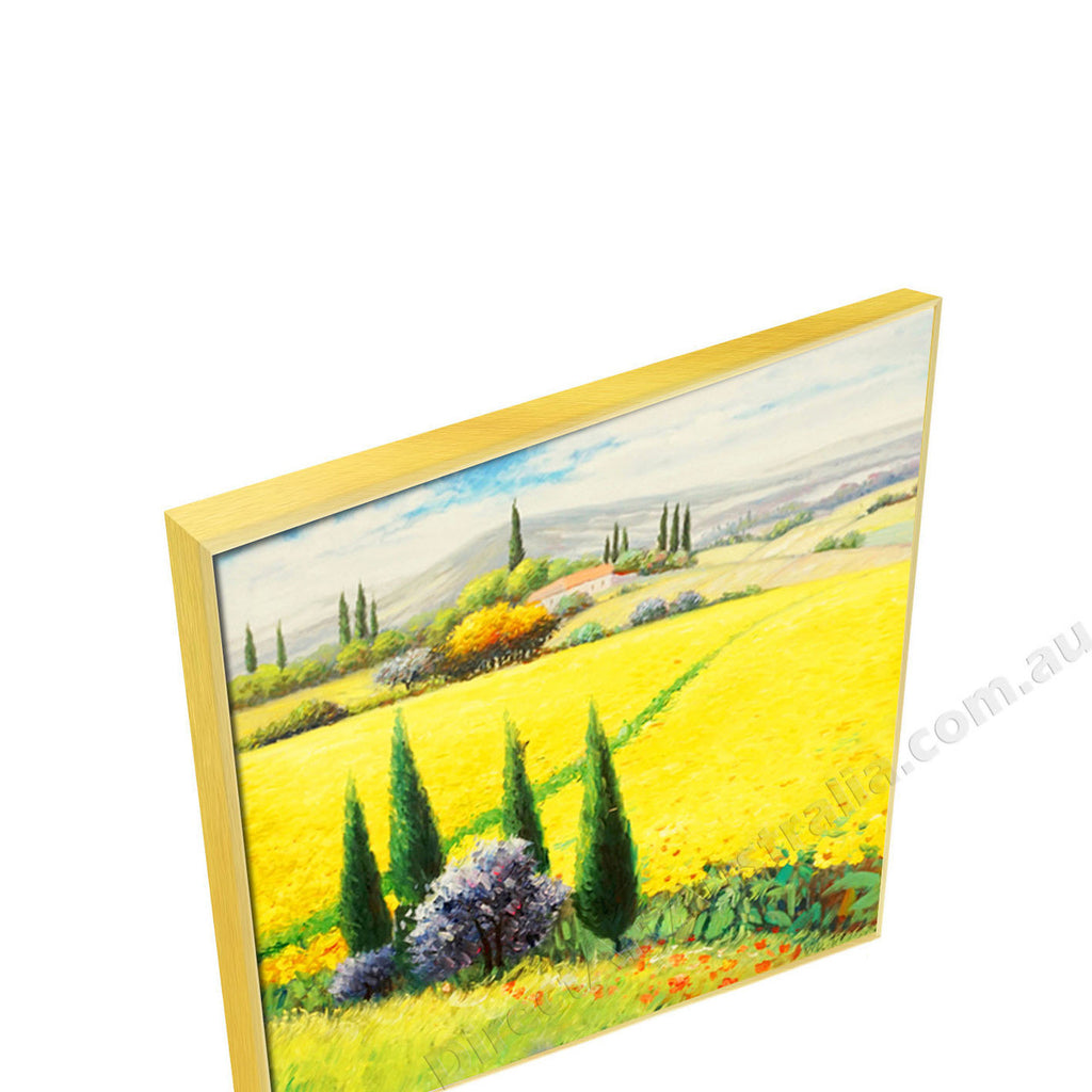 Gold Floating Frame