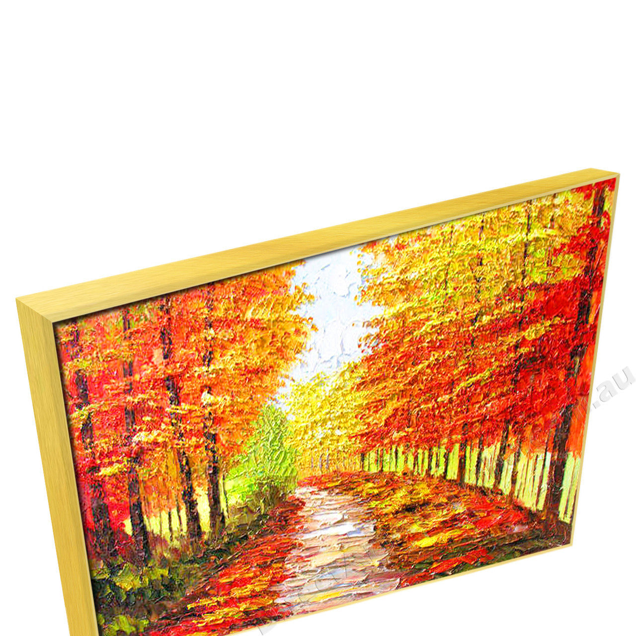 Gold Floating Frame