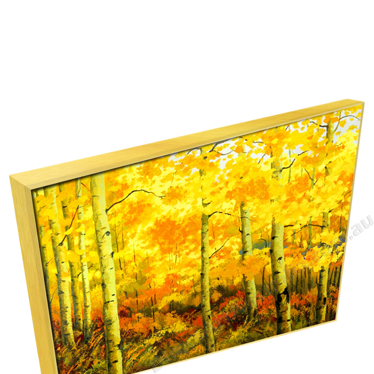 Gold Floating Frame
