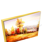 Gold Floating Frame