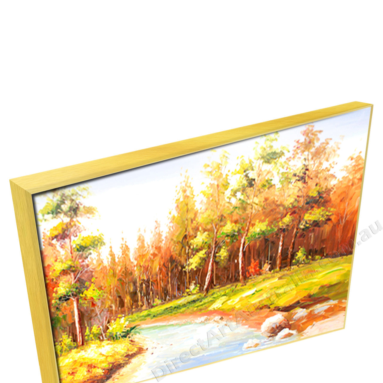 Gold Floating Frame