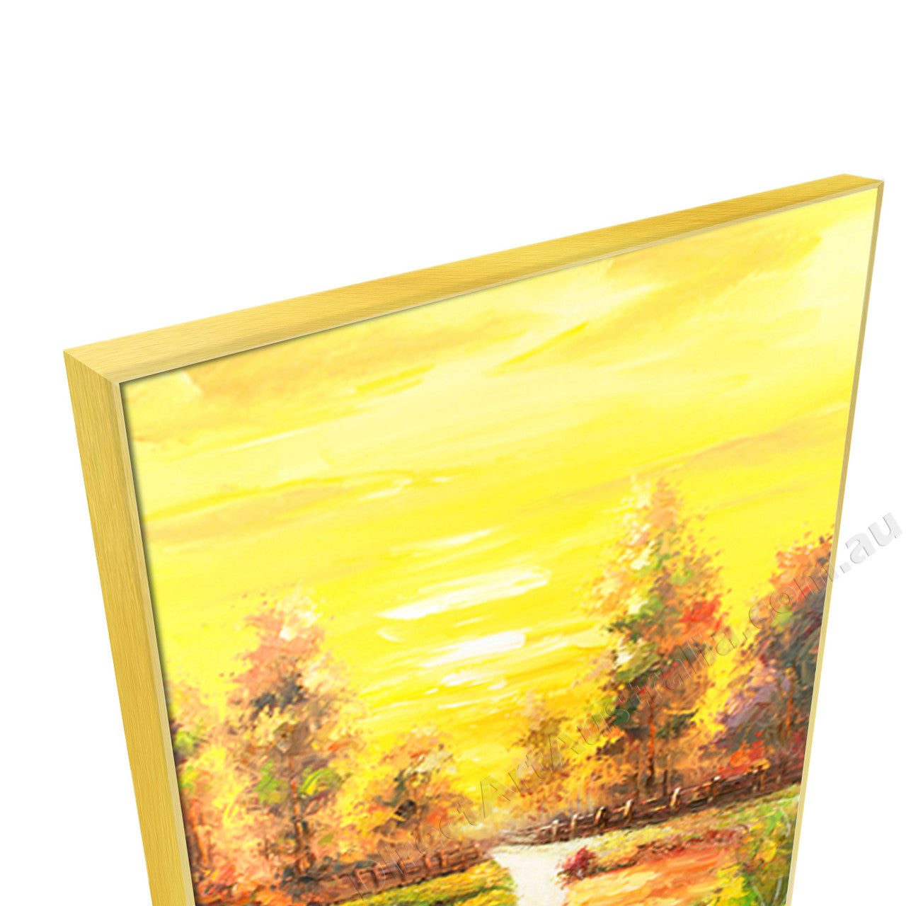 Gold Floating Frame
