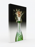 Stretched Slim Gallery Wrap (Higgsfield AI)