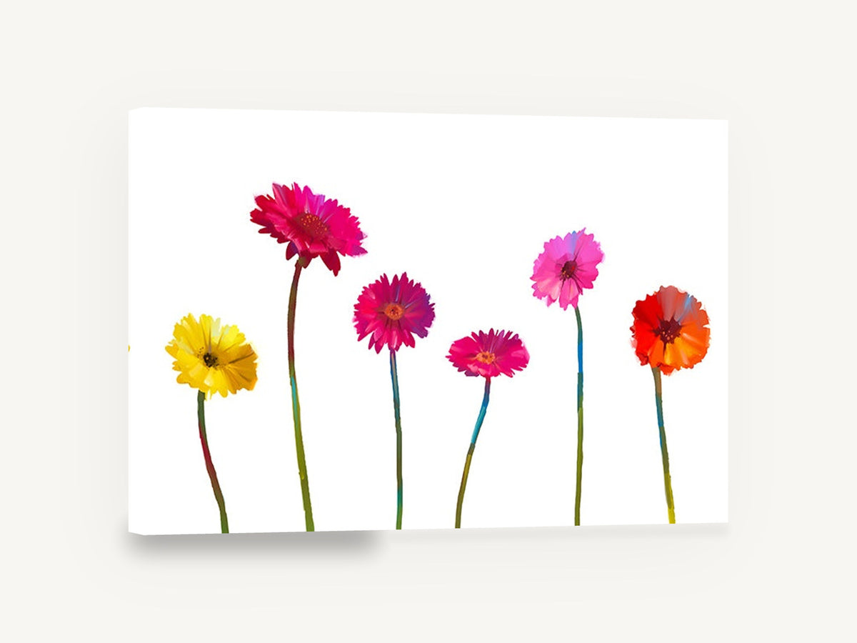 Gerbera Row, colourful gerbera daisies on white, floral canvas wall art print ready to hang