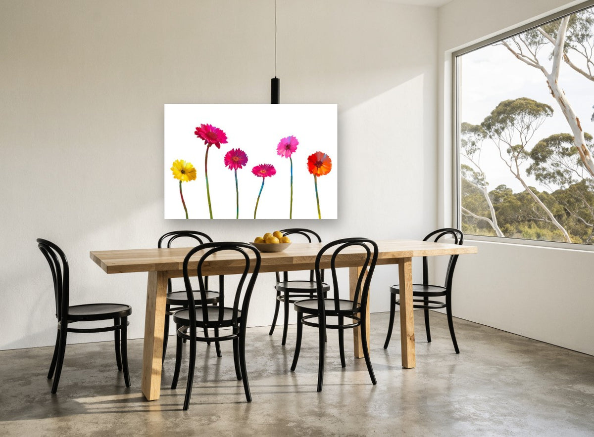 Gerbera Row floral canvas print on the wall of a dining room