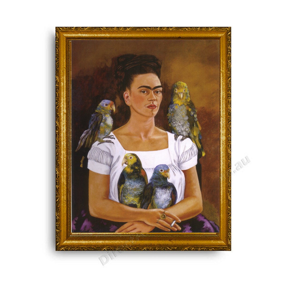 Me and My Parrots Gold Classic Frame