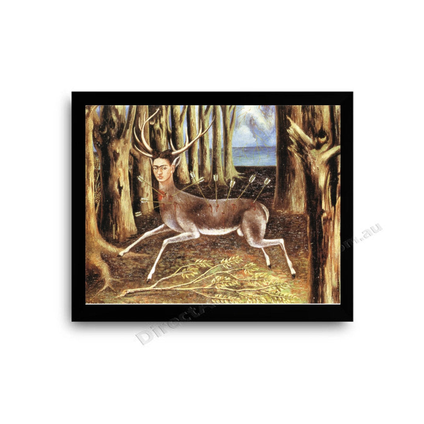 The Wounded Deer Modern Flat Black Frame