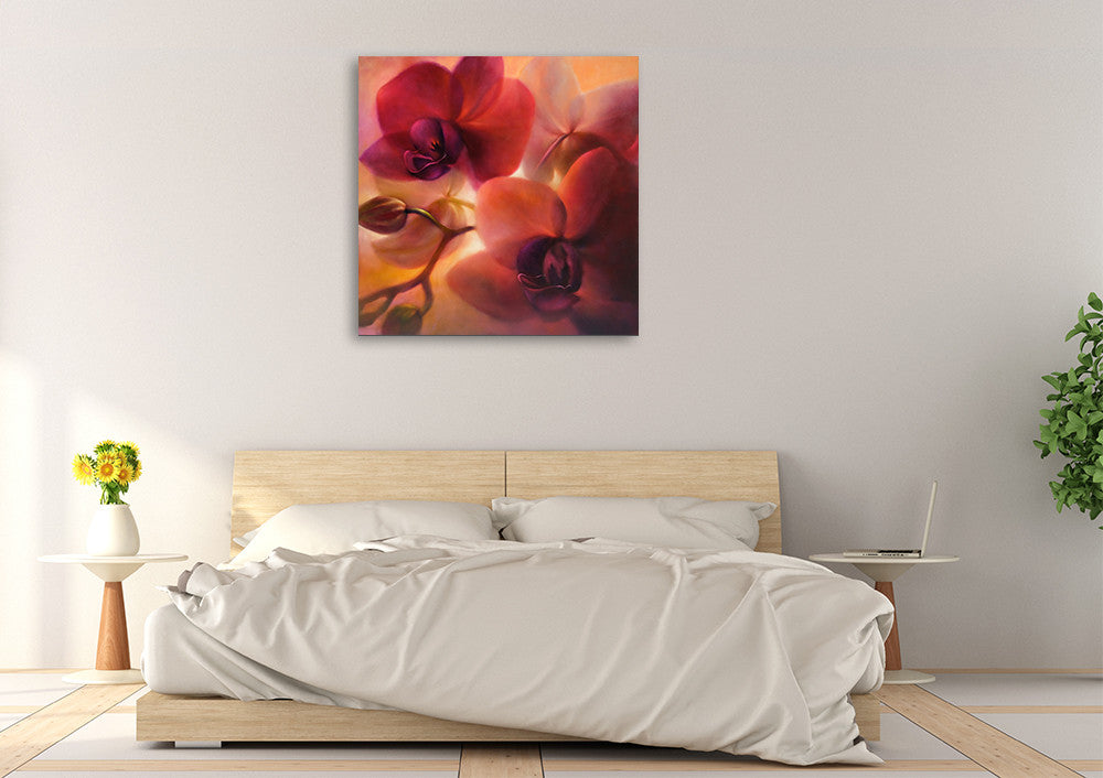 Annette Schmucker | Orchids