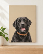 Example pet canvas: a black labrador in the modern style on a plain colour