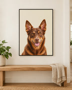 Example pet canvas: a red kelpie in the modern style on a plain colour
